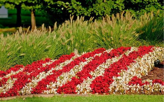 MULCH & FLOWER BED MAINTENANCE thumbnail